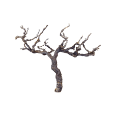 Decoration branch Grapewood brown chunky
