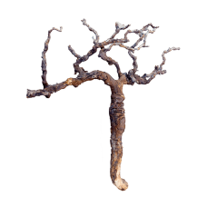 Decoration branch Grapewood brown chunky