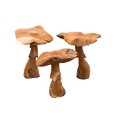 Decowood Mushroom set/3