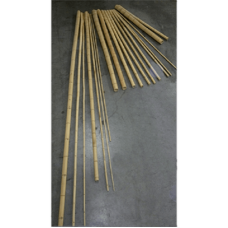 Decowood Bamboo natural (10-12 cm/200 cm)