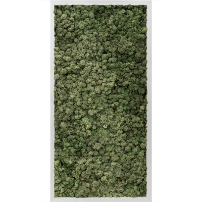 Aluminum 100% reindeer moss (dark green)