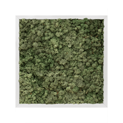 Aluminum 100% reindeer moss (dark green)