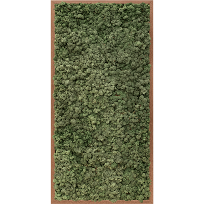 Meranti 100% reindeer moss (dark green)