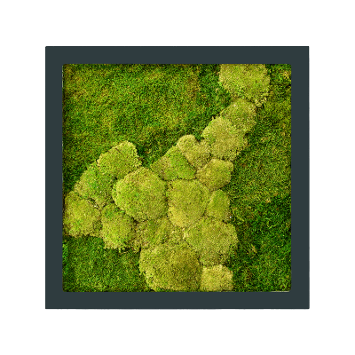 Stiel RAL 7016 mat 50% ball- and 50% flat moss