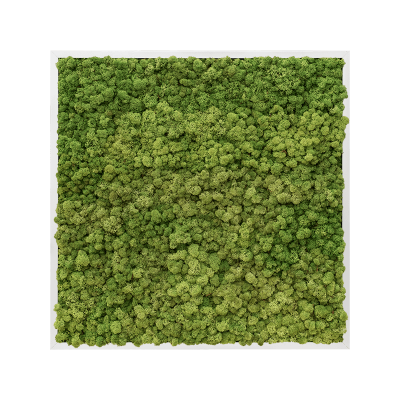 Aluminum 100% reindeer moss (forest green)