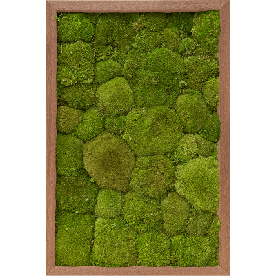 Meranti 100% ball moss (natural)