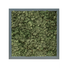 MDF RAL 7016 satin gloss 100% reindeer moss (dark green)