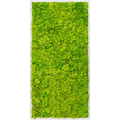 Aluminum 100% reindeer moss (spring green)