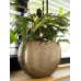 Кашпо Nynke Planter Gold (set of 5)