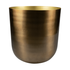 Mayk Pot Gold