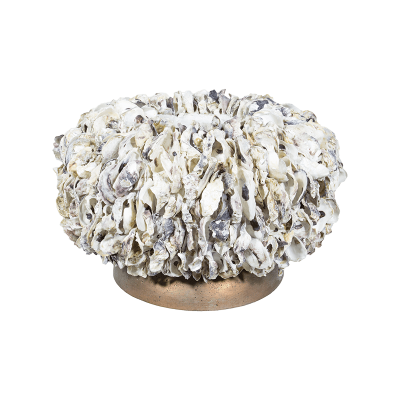 Кашпо Shell Oyster Bowl White shell