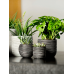 Кашпо пластиковое Capi Nature Rib Planter Ball Black