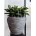 Кашпо пластиковое Capi Nature Rib NL Vase Taper Round Anthracite