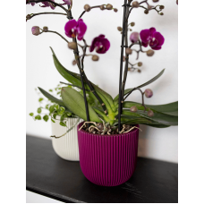 Capi Nature Groove Special Planter Ball Purple