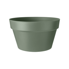 Loft Urban Bowl Pistachio Green