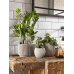 Кашпо пластиковое Capi Nature Groove Planter Ball Ivory