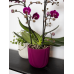 Кашпо пластиковое Capi Nature Groove Special Planter Ball Purple