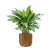 Кашпо пластиковое Capi Nature Groove Planter Ball Black Gold