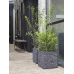 Кашпо пластиковое Capi Nature Row NL Planter Square Anthracite