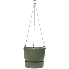Greenville Leaf green hanging basket