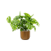 Кашпо пластиковое Capi Nature Groove Planter Ball Black Gold