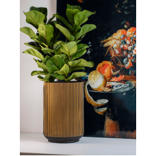 Capi Nature Groove Vase High Black Gold