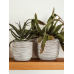 Кашпо пластиковое Capi Nature Rib Planter Ball Ivory